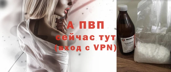 винт Горно-Алтайск