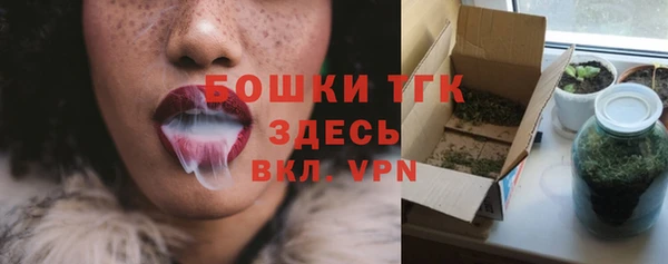 винт Горно-Алтайск