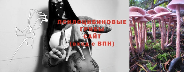 винт Горно-Алтайск