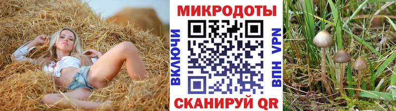 kraken ССЫЛКА  Благовещенск  Галлюциногенные грибы GOLDEN TEACHER 